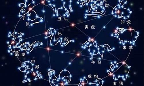 十二星座未来是什么命_十二星座未来是什么