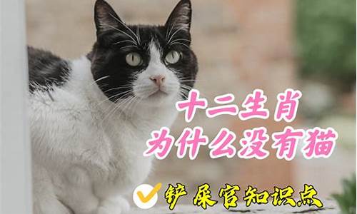 十二星座为什么没有钱_十二星座为什么没有猫